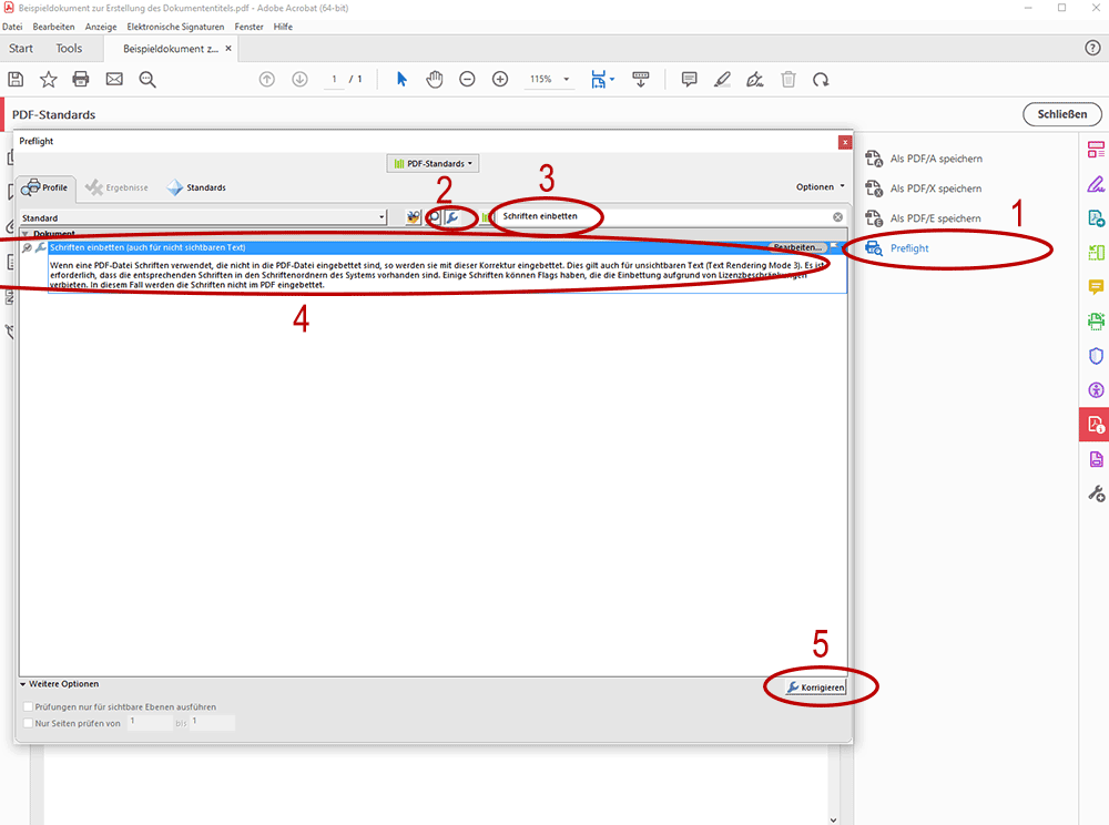 Screenshot Adobe Acrobat Pro mit geöffnetem Preflight Tools